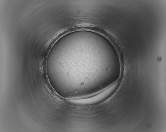 X0000115291305200911161625
