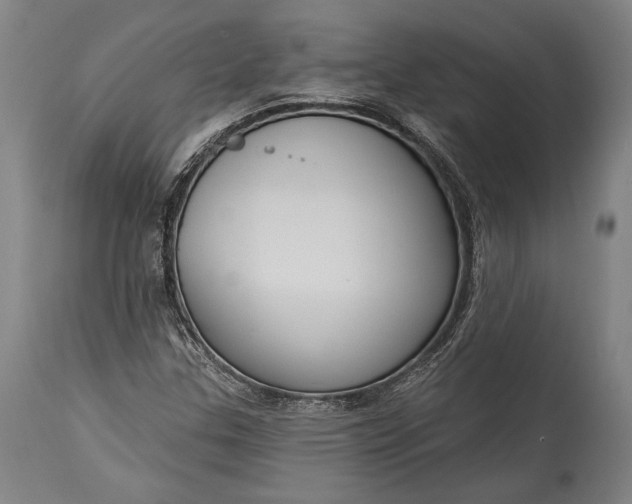 X0000115291307200911161625