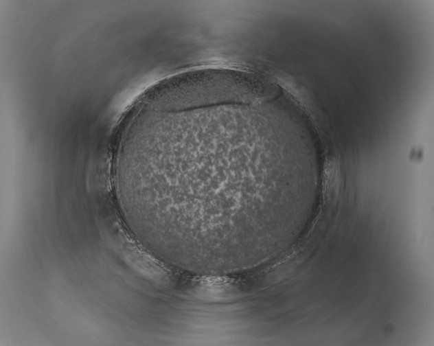X0000115291310200911161625