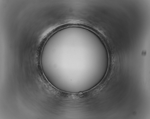 X0000115291311200911161625