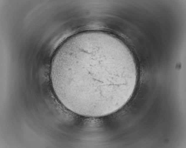 X0000115291314200911161625