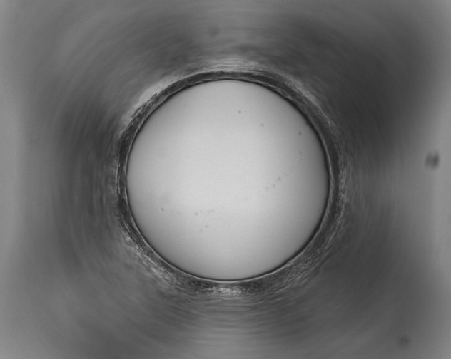X0000115291315200911161625