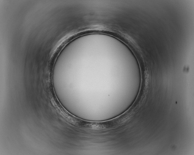 X0000115291318200911161625