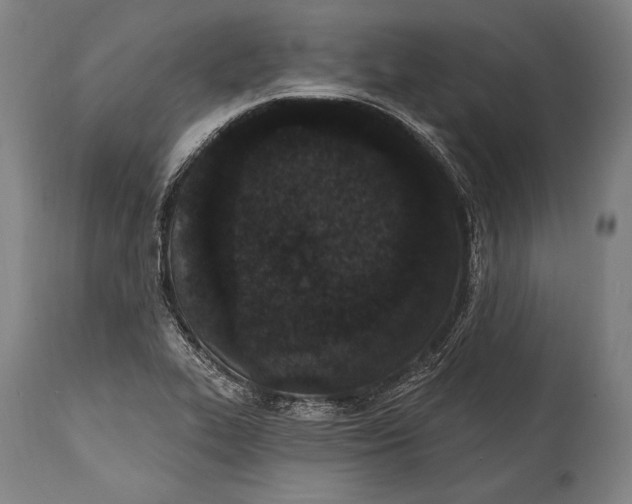 X0000115291319200911161625