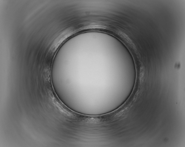X0000115291321200911161625