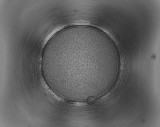 X0000115291325200911161625