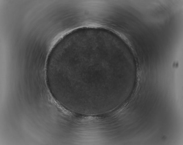 X0000115291327200911161625