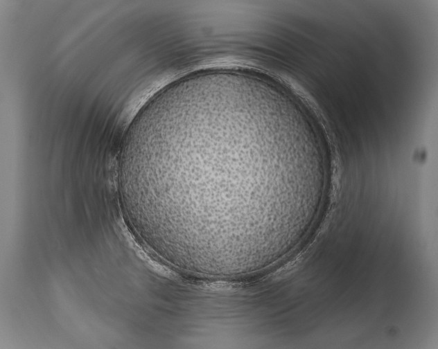 X0000115291329200911161625