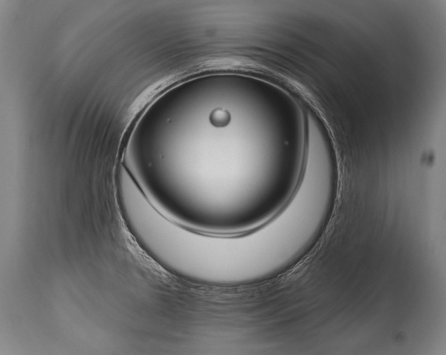 X0000115291330200911161625