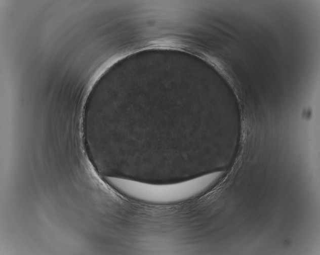 X0000115291331200911161625