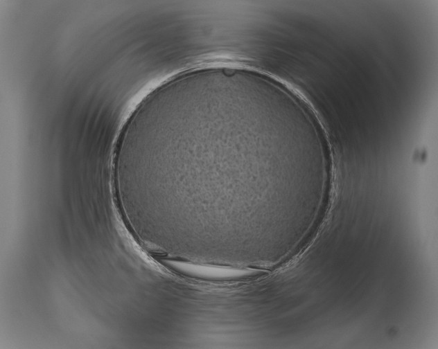 X0000115291333200911161625