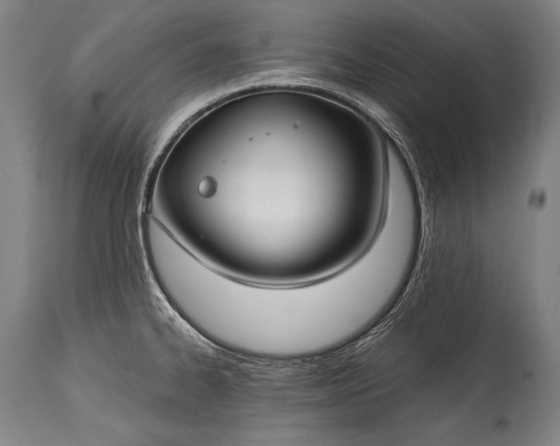 X0000115291334200911161625