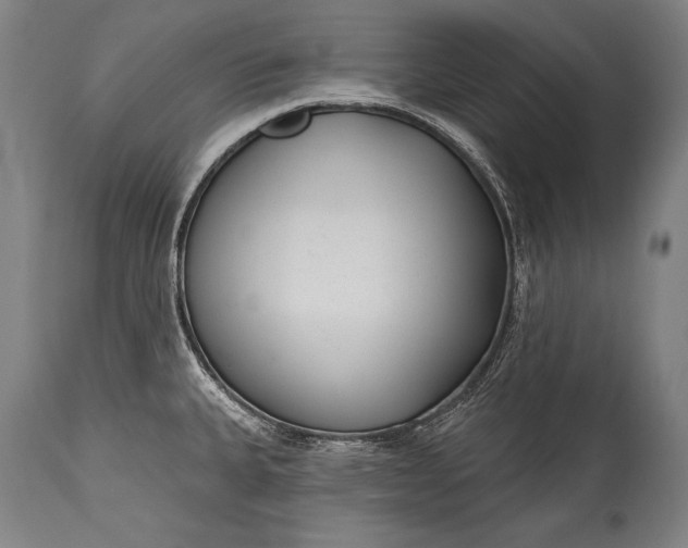 X0000115291335200911161625