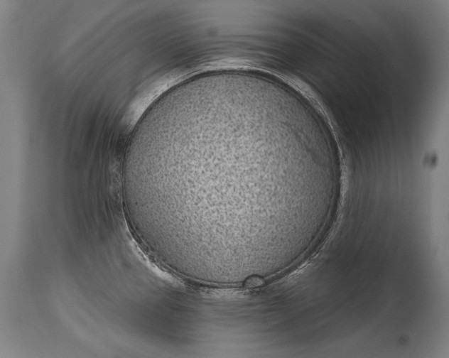 X0000115291337200911161625