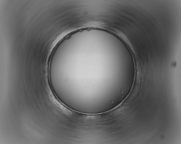 X0000115291339200911161625