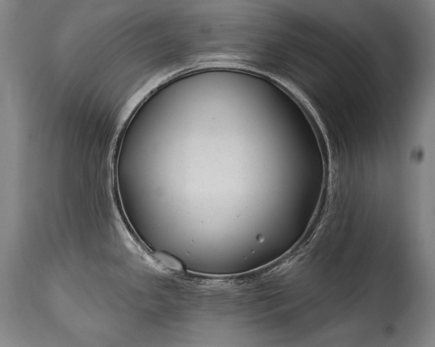 X0000115291341200911161625