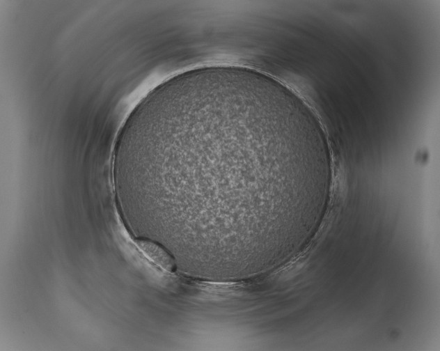 X0000115291342200911161625