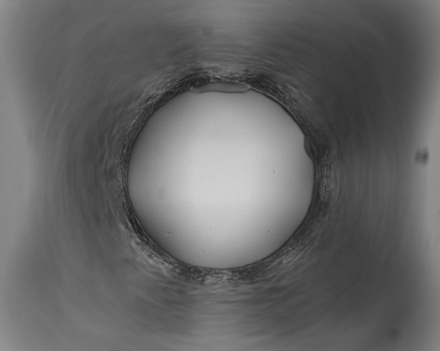 X0000115291345200911161625