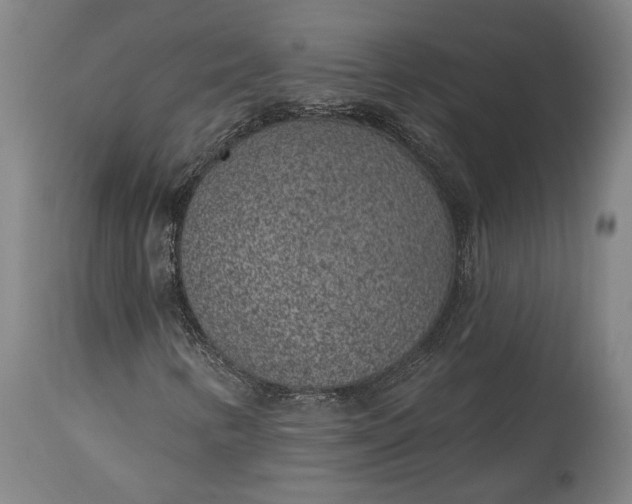 X0000115291346200911161625