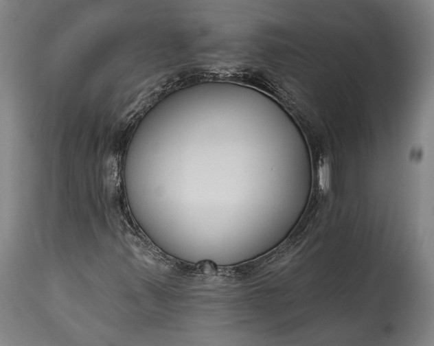 X0000115291347200911161625