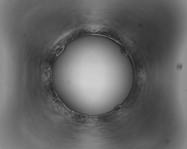 X0000115291349200911161625