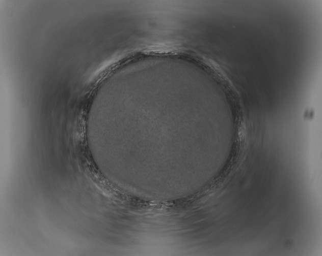 X0000115291350200911161625