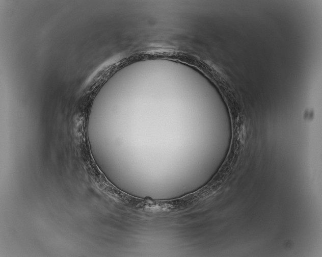 X0000115291351200911161625