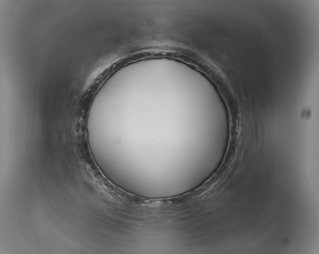 X0000115291352200911161625