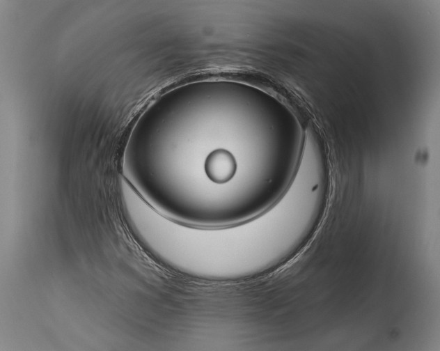 X0000115291353200911161625