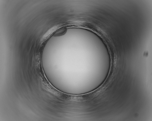 X0000115291354200911161624