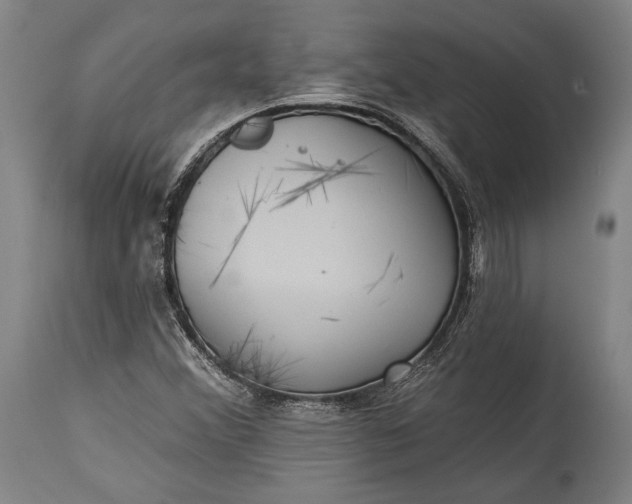 X0000115291356200911161624