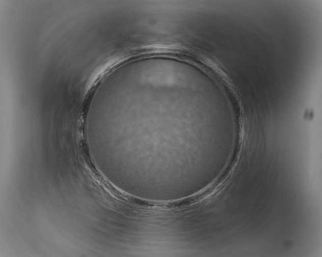 X0000115291357200911161624