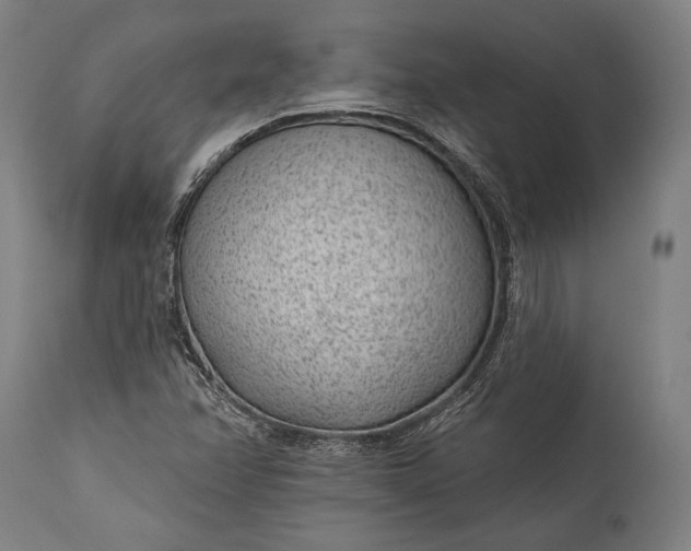 X0000115291358200911161624