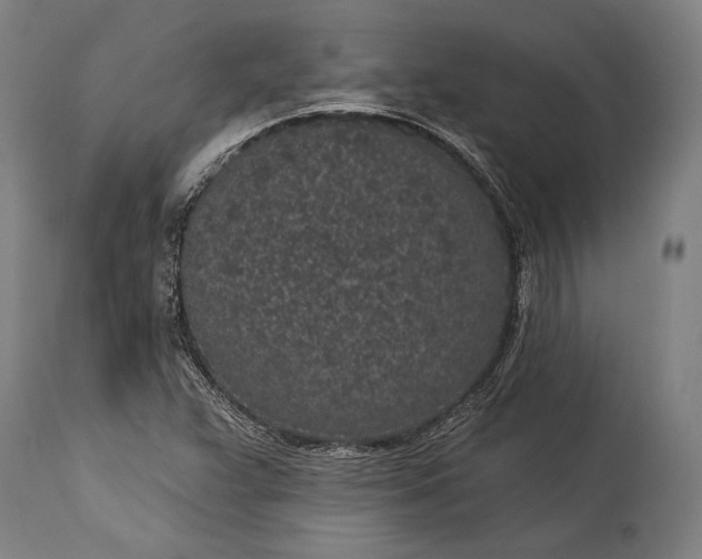 X0000115291359200911161624