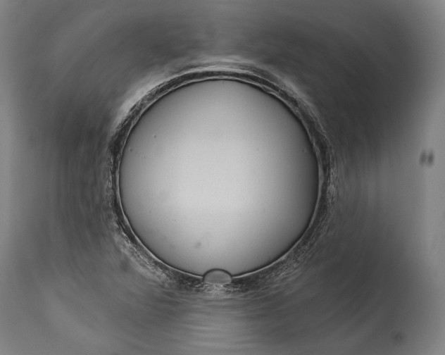 X0000115291360200911161624