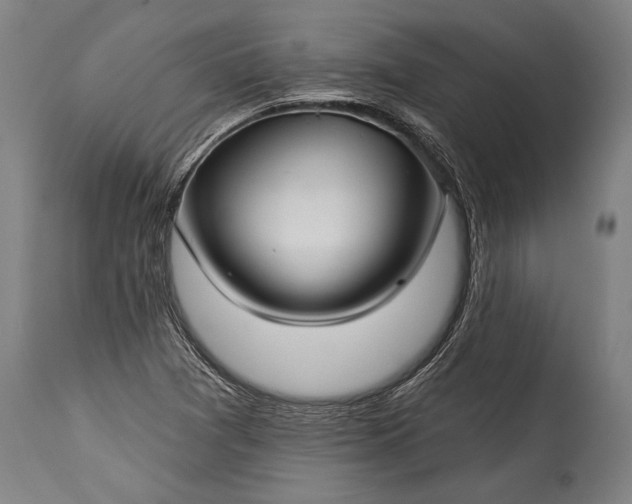 X0000115291361200911161624