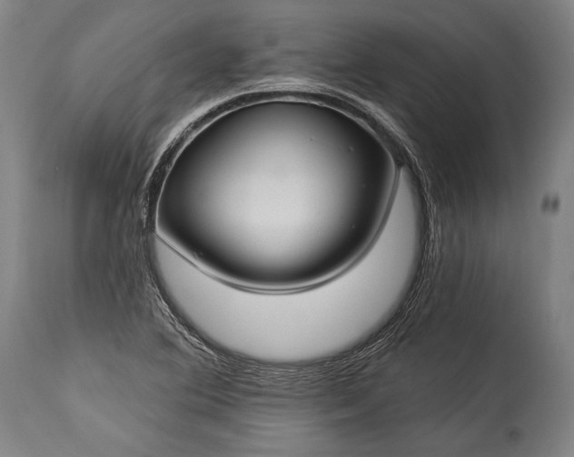 X0000115291364200911161624