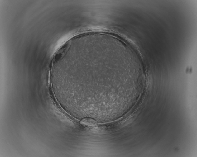 X0000115291365200911161624