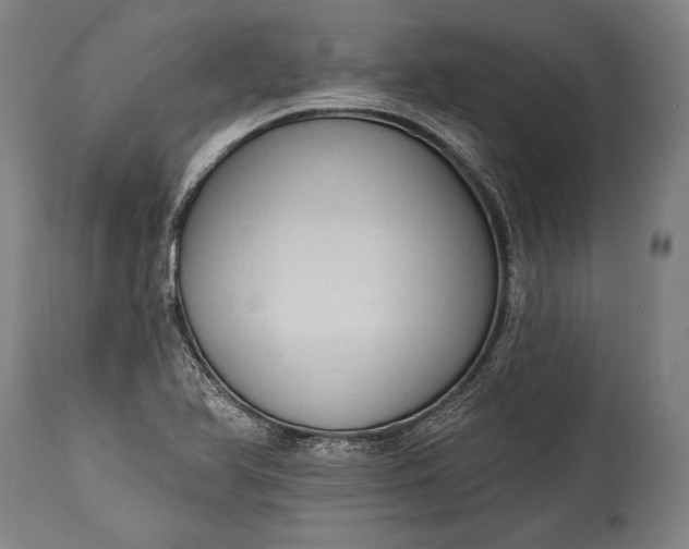 X0000115291366200911161624