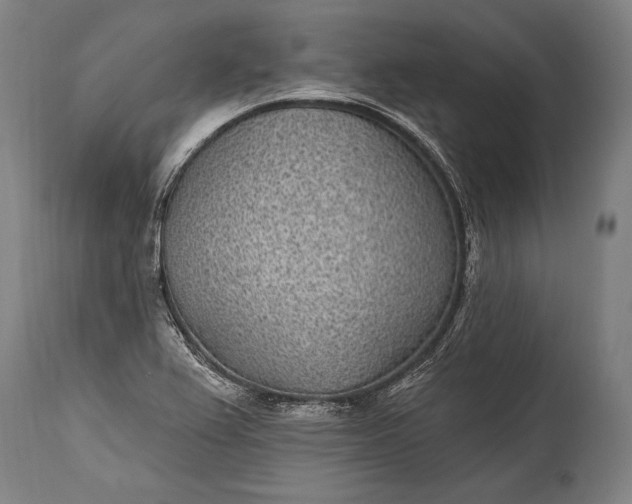X0000115291367200911161624