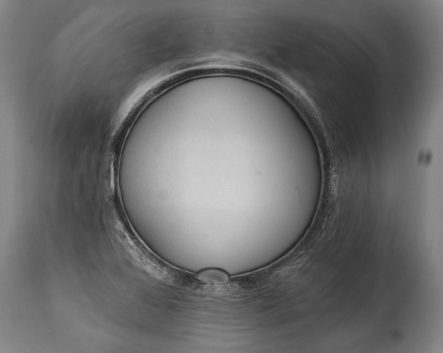 X0000115291368200911161624