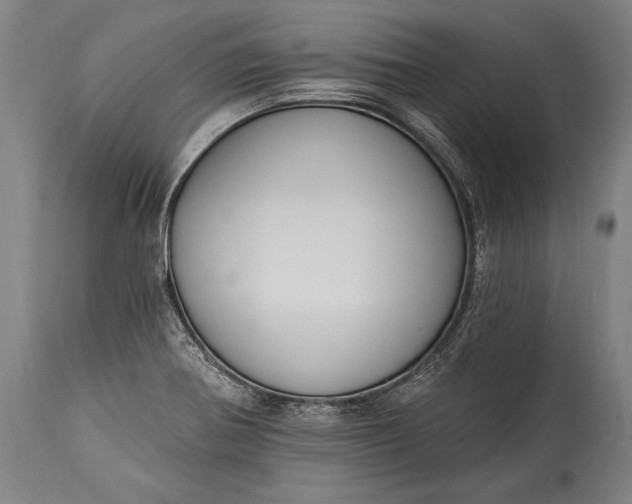 X0000115291370200911161624