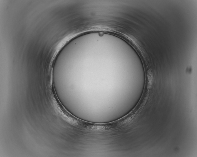X0000115291371200911161624