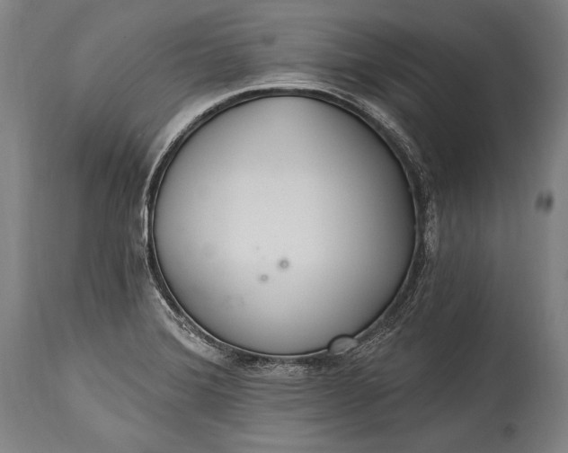 X0000115291372200911161624