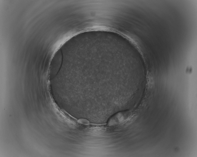 X0000115291373200911161624