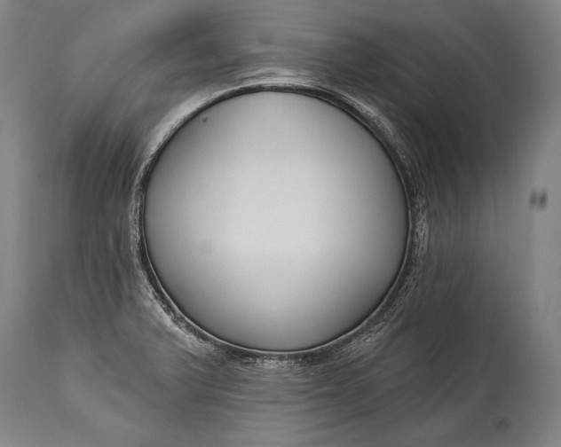 X0000115291375200911161624