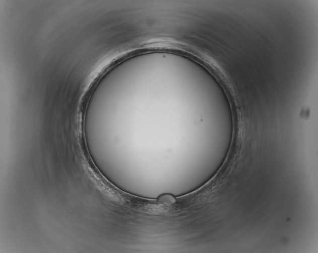 X0000115291376200911161624
