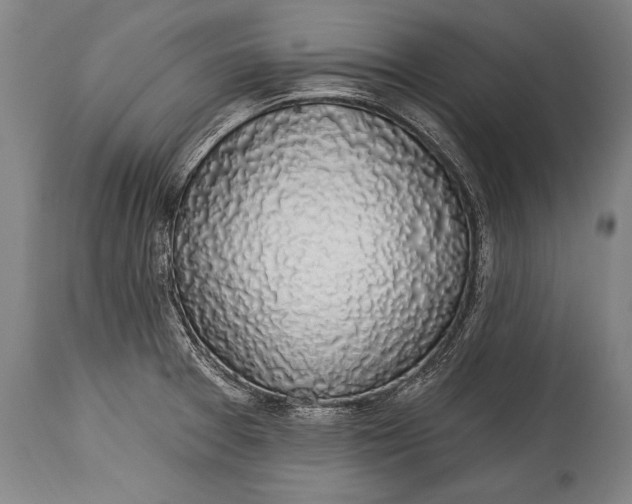 X0000115291377200911161624