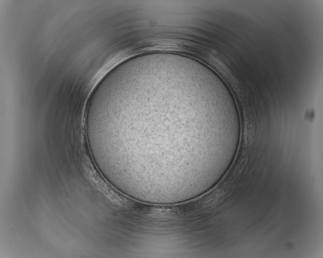 X0000115291378200911161624