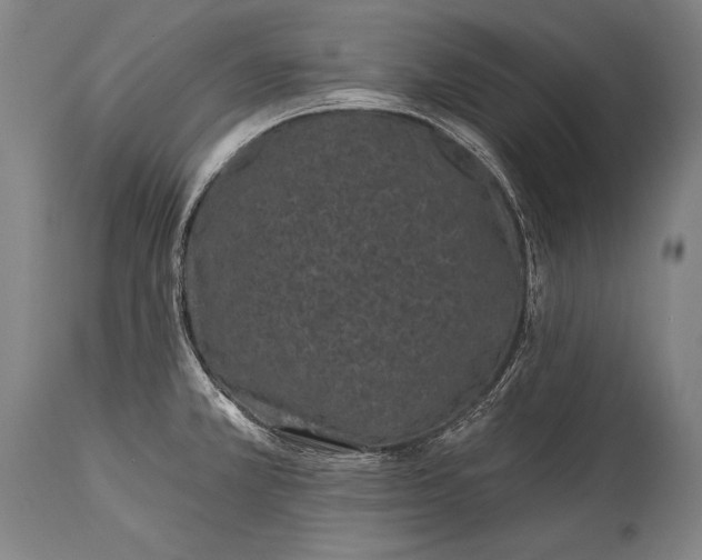 X0000115291381200911161624